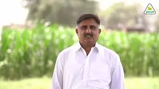 Rashid Sarwar | Bahawalpur | Cotton Crop | Sarsabz Fertilizers