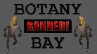 BOTANY BAY day of release footage with commentary - Jagex mass created fake bot accs?