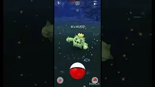 It is Huge! 🤯 | Cacnea #pokemongo #caught #hugh #shorts
