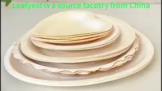 Food plates from Leafyest