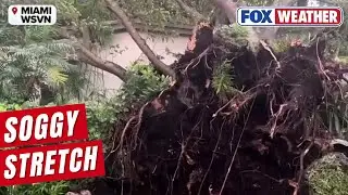 Heavy rain leads to soggy conditions in Sunshine State