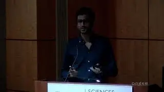 Hassan Aleem: A Neuroscientific View of Objectivity and Subjectivity in Beauty