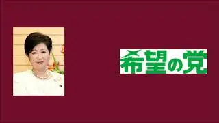 The 2017 Japanese General Election