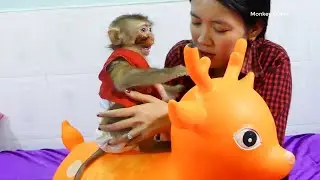 OMG!! Monkey Donal Scare Fake Deer Mom Take Good Care For Donal