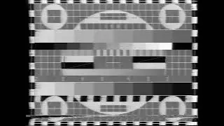 УЭИТ 1981