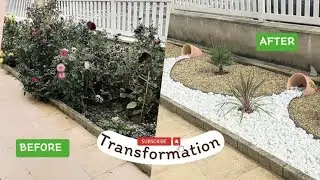 DIY Front Yard Makeover (हिंदी): How I Transformed My Garden in a Weekend