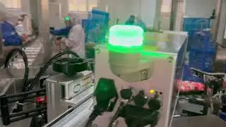 Flat-push bag packaging machine integrated with laser marking, a new experience in high-speed coding