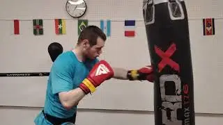 RDX APEX Lace Up Boxing Training Gloves Bag Work 