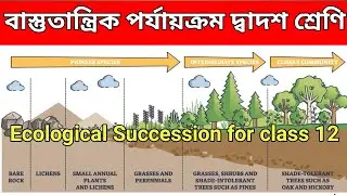Ecosystem -Ecological Succession for Class 12 in Bengali/বাস্তুতান্ত্রিক পর্যায়ক্রম/NEET Biology.