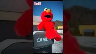 BOB #travel #shorts #bob