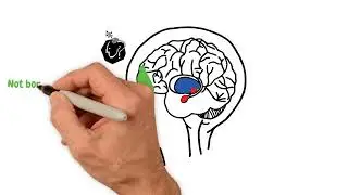 BrainWise Wizard Brain vs Lizard Brain