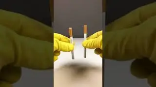 Cutting Cigarette With Scissor | Experiment No.160   | Relaxing Tricks & Tips | #Shorts