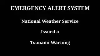Emergency alert system #4: Tsunami Emergency