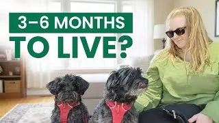 Bengston Method for Dogs Lucy&rsquo;s Full Healing Journey (Extended Interview)