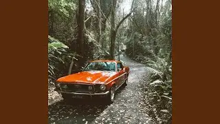 each with their own luck