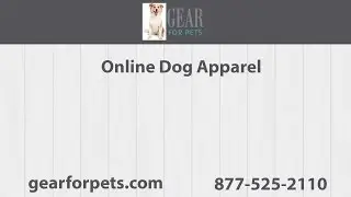 Online Dog Apparel | Gear for Pets