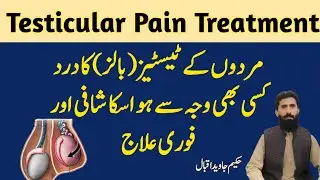 Right Testis Pain Reasons in Urdu | Balls Mein Dard Kyon Hota Hai | Testicular Pain Ka ilaj