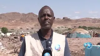Région d’Obock : la caravane de la solidarité lance sa mission à Alaili Dadah.