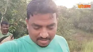 आम्ही चाल्लाव मधमाशांचा पोळा काढूक. कोकणातील आंबा बागांची खरी कहानी. Kokan. devagad. 