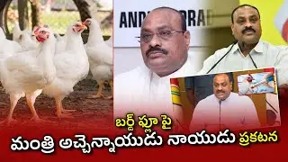 Bird Flu Effect In Andra Pradesh || Officials Warn Not To Eat Chicken || Birdflu Virus || AP23 NEWS