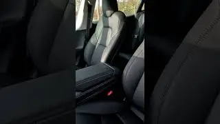 Tesla Performance Sitze ? eher nicht