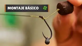 CÓMO HACER un MONTAJE de CARPFISHING (Montaje básico)