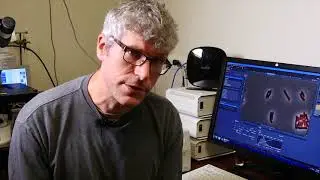 Grant Bowman | 2017 Early Career Achievement Award