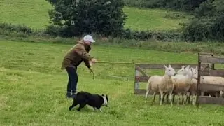 Adam Porter's Double Gather Trial. 2nd place run James McCloskey & Dollar