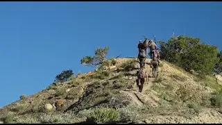 Shooting USA: The 2023 Hornady NRL Hunter Challenge
