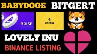 Bitgert Brise Binance Listing | Babydoge Binance Listing | Lovely inu Binance Listing #bitgert #bris