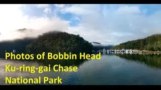 Bobbin Head, Ku-ring-gai Chase National park, Sydney, New South Wales, Australia