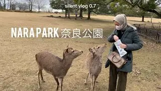 silent vlog 0.7. Nara: Nara Deer Park | 奈良公園
