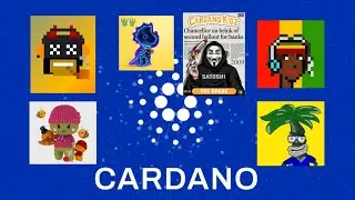 Cardano NFT Projects
