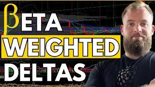 Beta Weighting 101: Simplifying Portfolio Risk Management