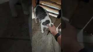 Pusic Ngalem di Garasi