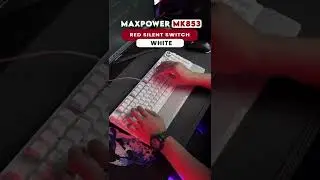 ASMR MAXPOWER MK853 | KAMU PILIH SWITCH YANG MANA?