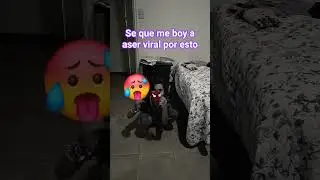 puse el amoniaco porque d&ntilde;se me bio la cara