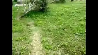 MEB- Caputatan Newbie Trail