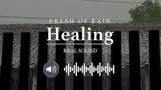 RELAXASI RAIN SOUNDS White noise heard in nature has a special spectrum