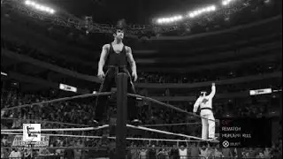 Shaolin Dragons vs. Dory & Terry Funk