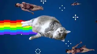 [햄튜브 팬영상] Nyan Gurm 냥캣 구름이