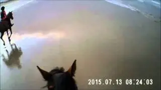 Galloping on a beach in Vend&eacute;e, France with GOPROCAM