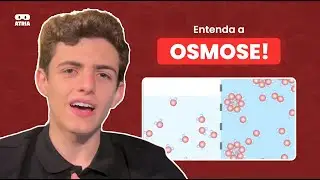 Afinal, o que é OSMOSE? Entenda de uma vez por todas | CONCEITOS CHAVE DA FISIOLOGIA