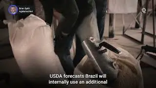 Will Brazil&rsquo;s Bumper Corn Crop Challenge US Exports? | Presented by CME Group