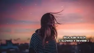 GULABI SADI | Slowed + Reverb | Trending Marathi Song 🌸🎶 | Lofi Vibes #gulabisadi #trending #viral 