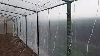 13 января 2024 г.