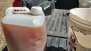 Bear Bait Idaho Style (Boarmasters)
