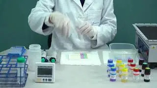 PROTIA Allergy-Q_Q-SCAN Plus(Manual method)_EN[Protia]