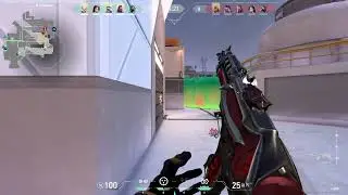 VALORANT  SHITPOST