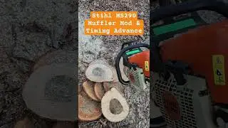 (Derek) Stihl MS290 Muffler Mod & Timing Advance #stihl #stihlchainsaw #chainsaw